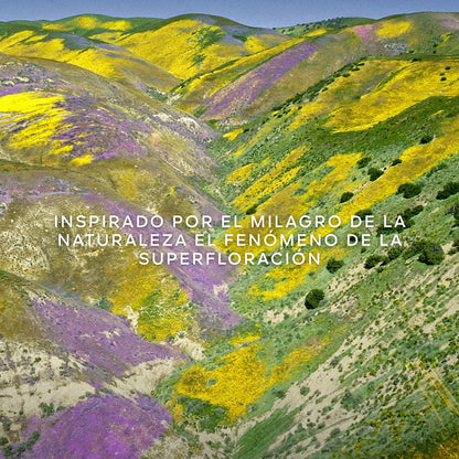 Aqua Allegoria Florabloom Forte Eau de Parfum - Perfumería First Bolivia