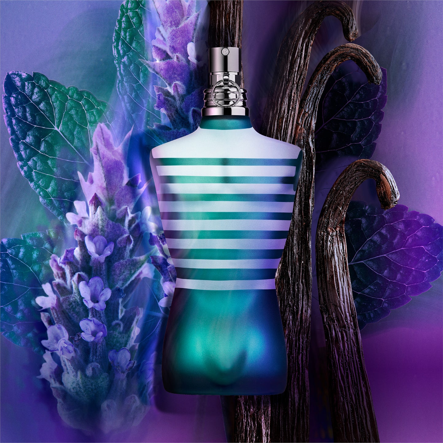 Le Male Eau de Toilette - Perfumería First Bolivia