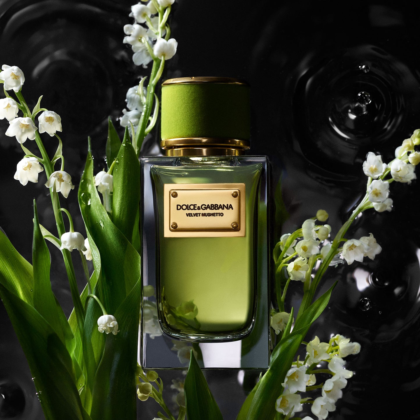 Velvet Mughetto Edp