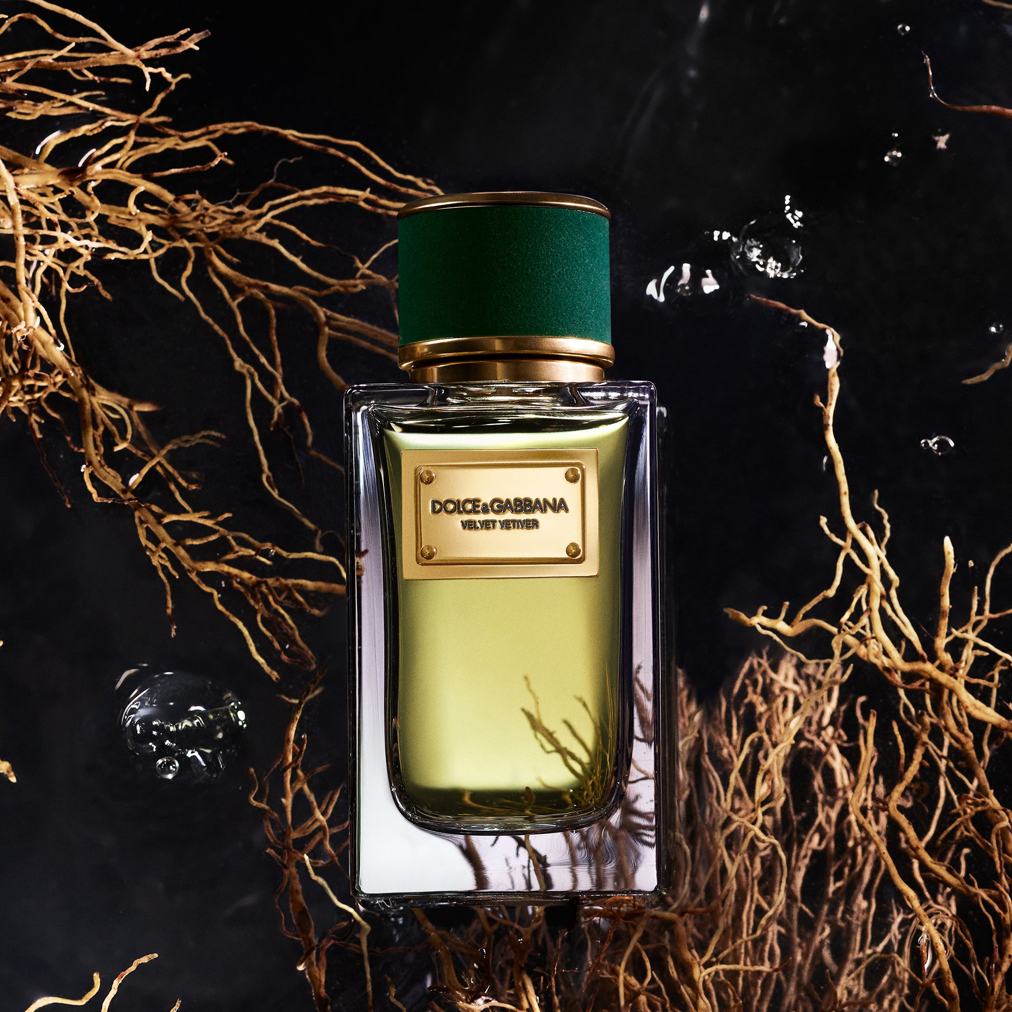 Velvet Vetiver Edp