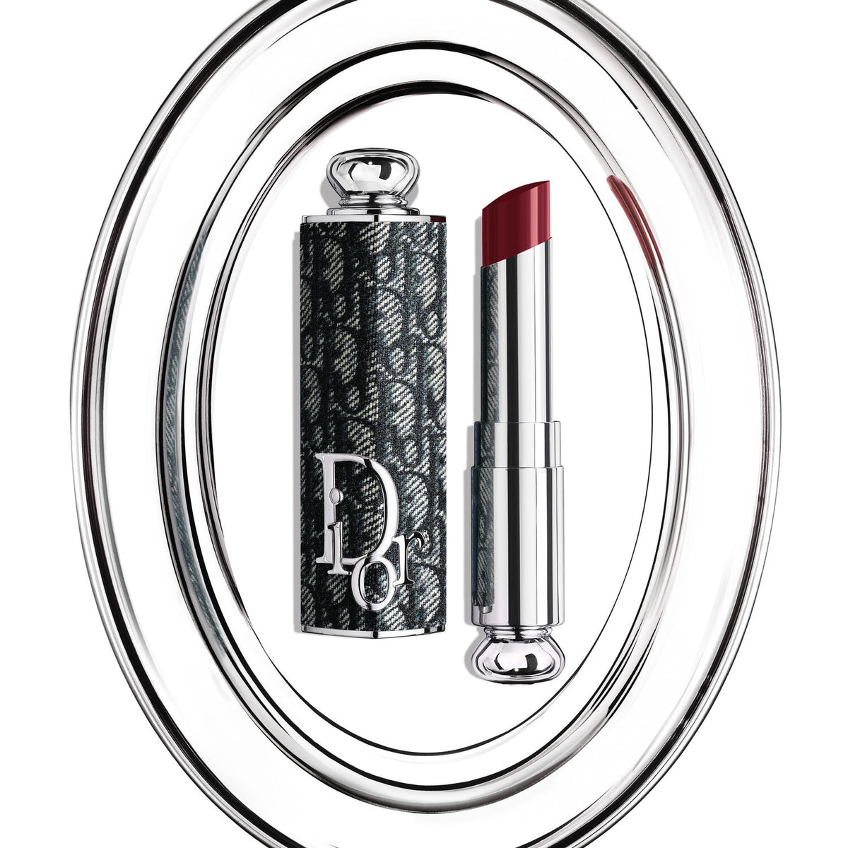Dior Addict Limited Edition Refillable Case