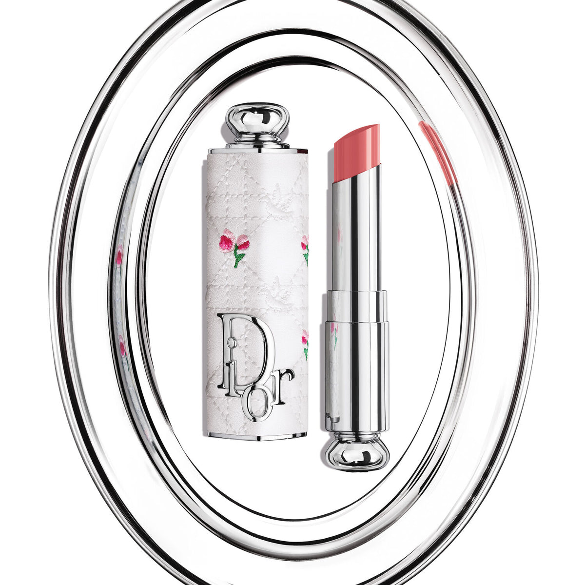 Dior Addict Limited Edition Refillable Case