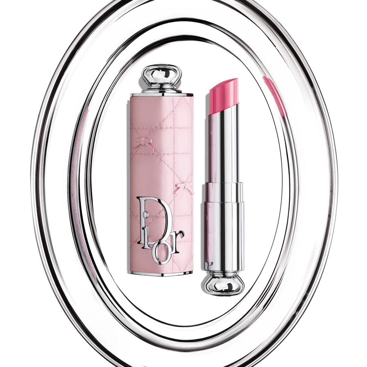 Dior Addict Limited Edition Refillable Case