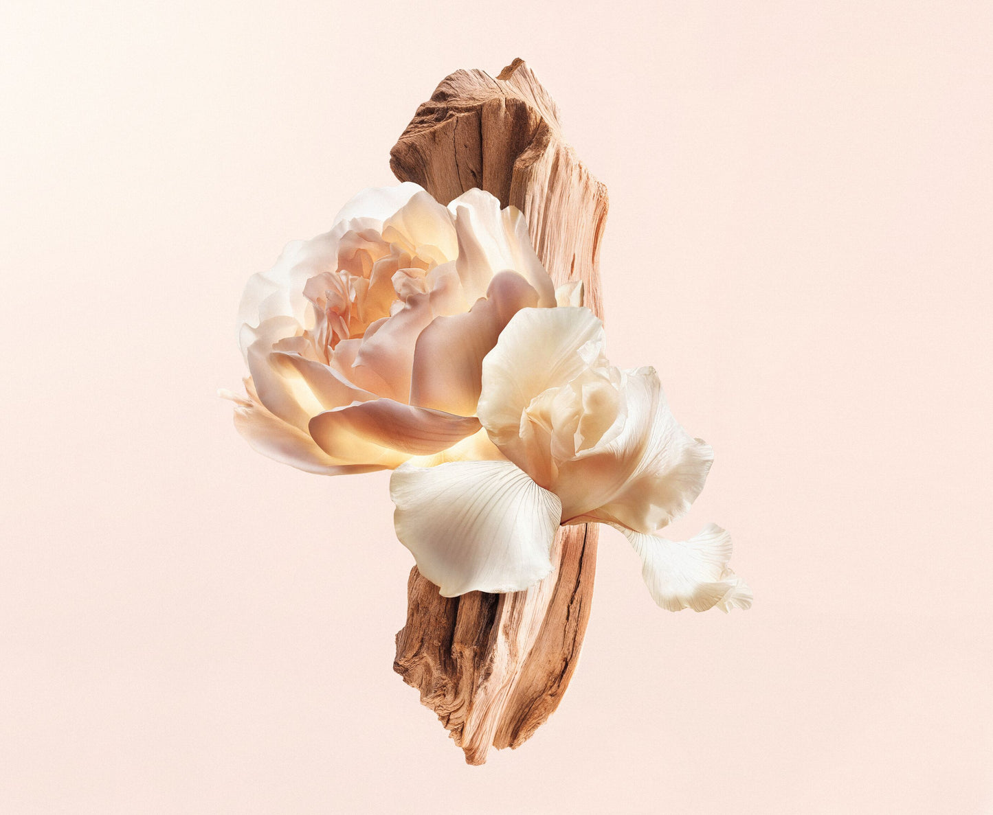 Irresistible Nude Velvet Eau De Parfum