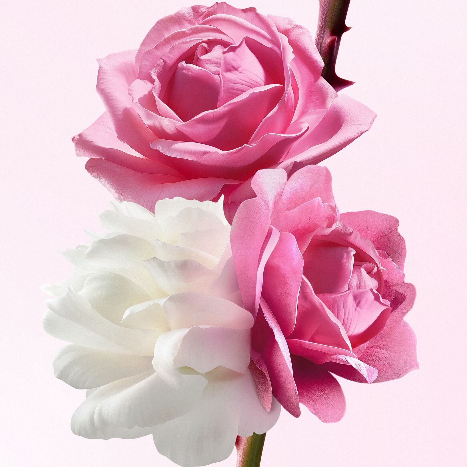 Very Irresistible Eau de Toilette - Perfumería First Bolivia