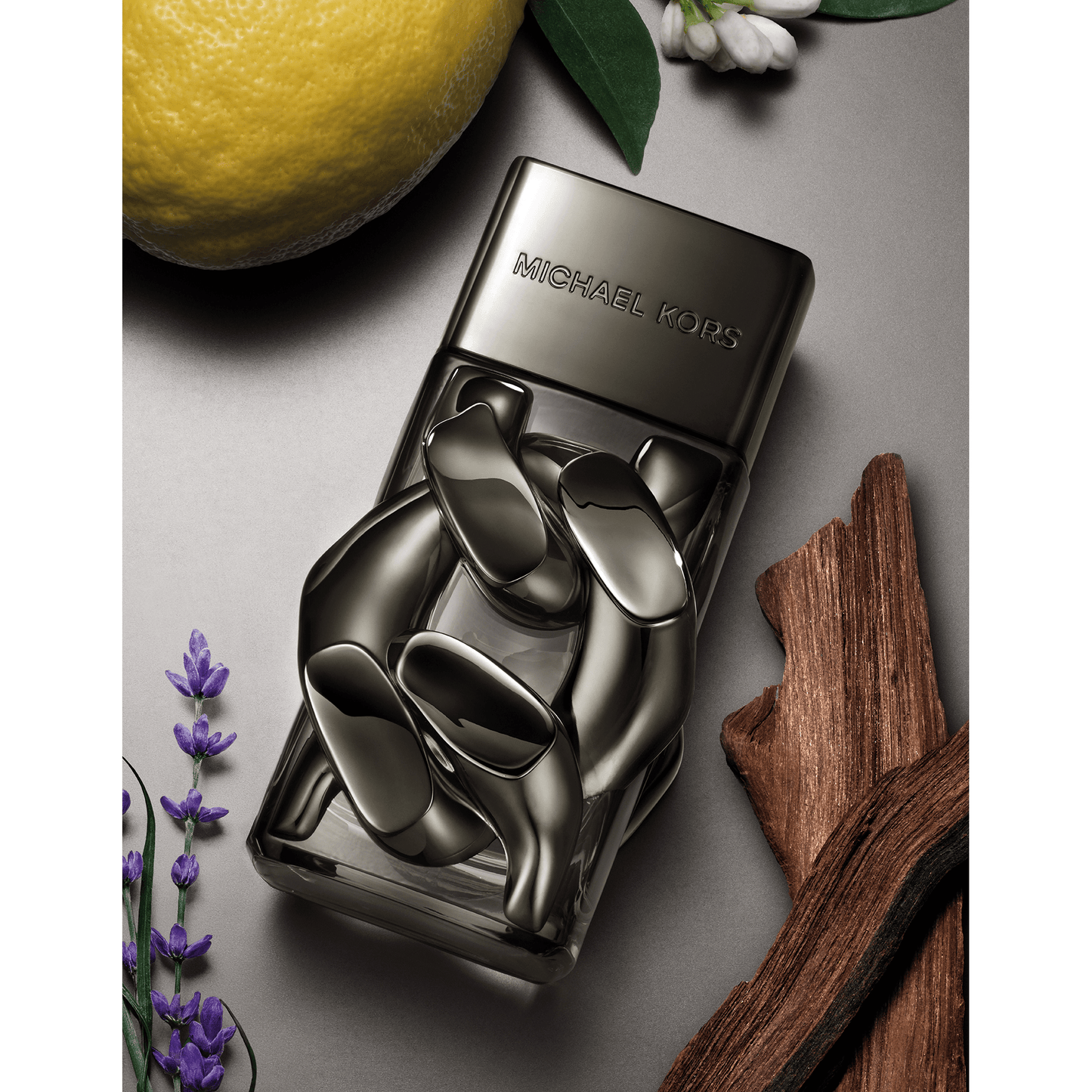 MK Absolu Pour Homme