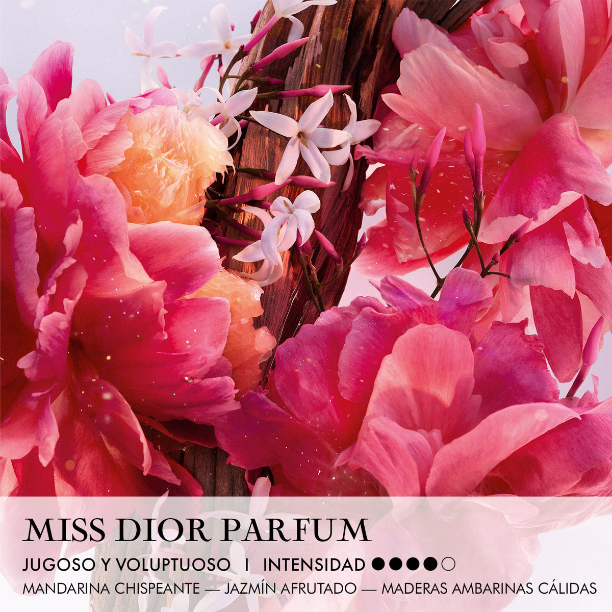 Miss Dior Parfum Roller-Pearl
