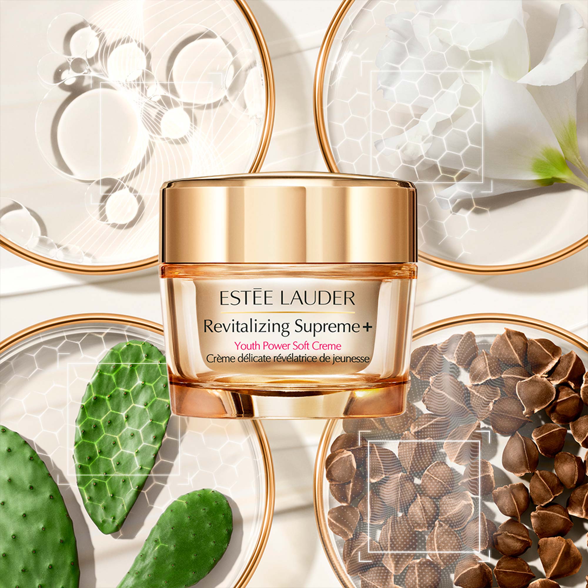 Crema humectante suave Tratamiento antiedad Revitalizing Supreme+ Youth Power