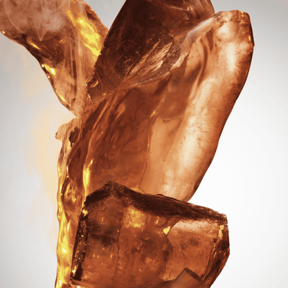 Fame Feline Collector 25