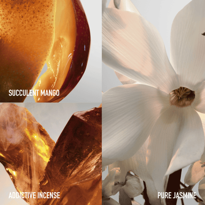 Fame Feline Collector 25