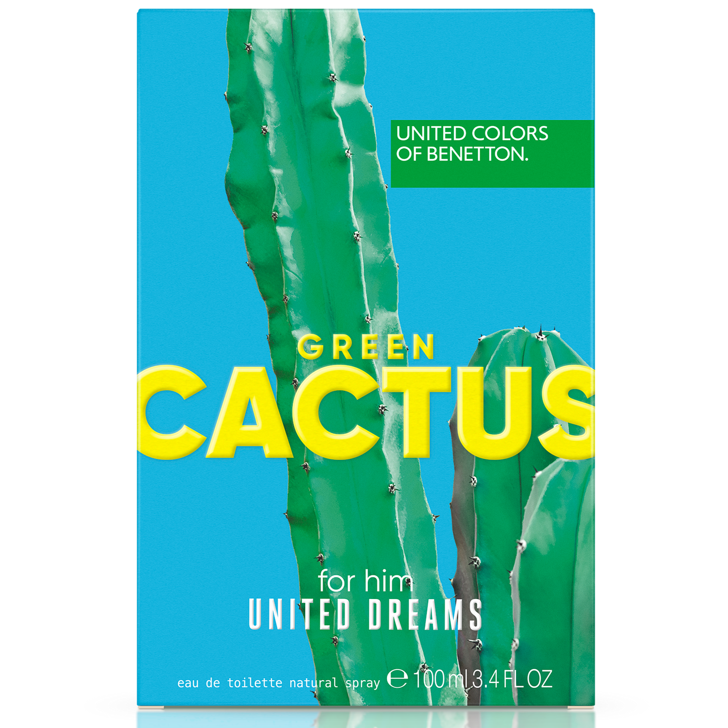 United Dreams Cactus For Him