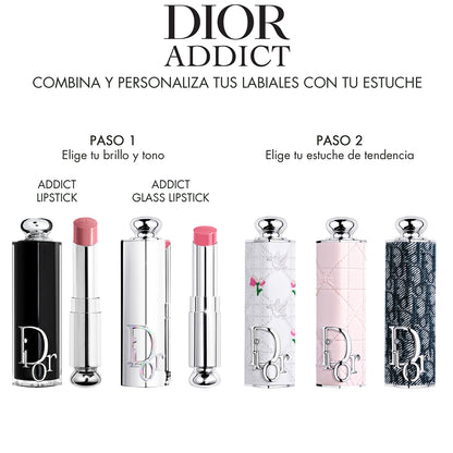Dior Addict Limited Edition Refillable Case
