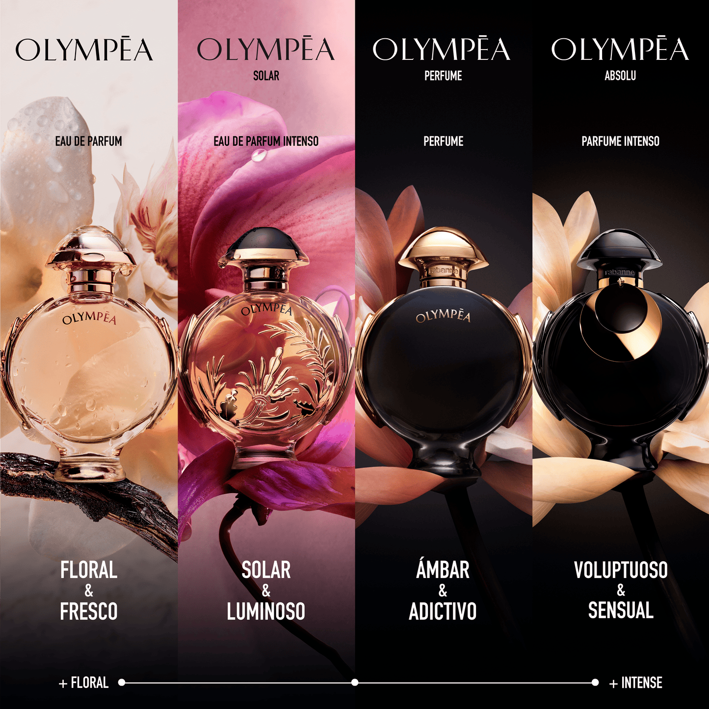 Olympea Absolu