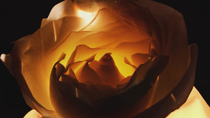 Dior Prestige Le Baume de Minuit