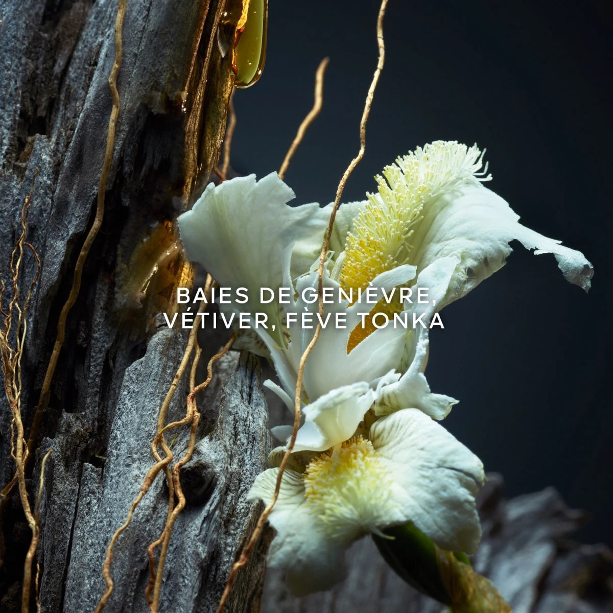 Vetiver Parfum