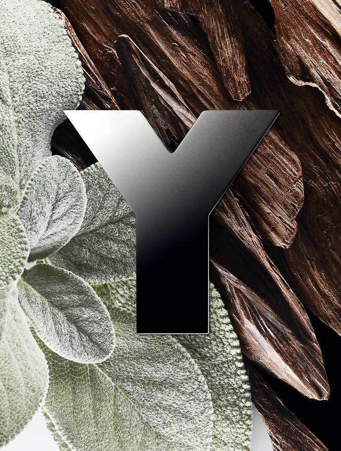 Y Men Eau de toilette