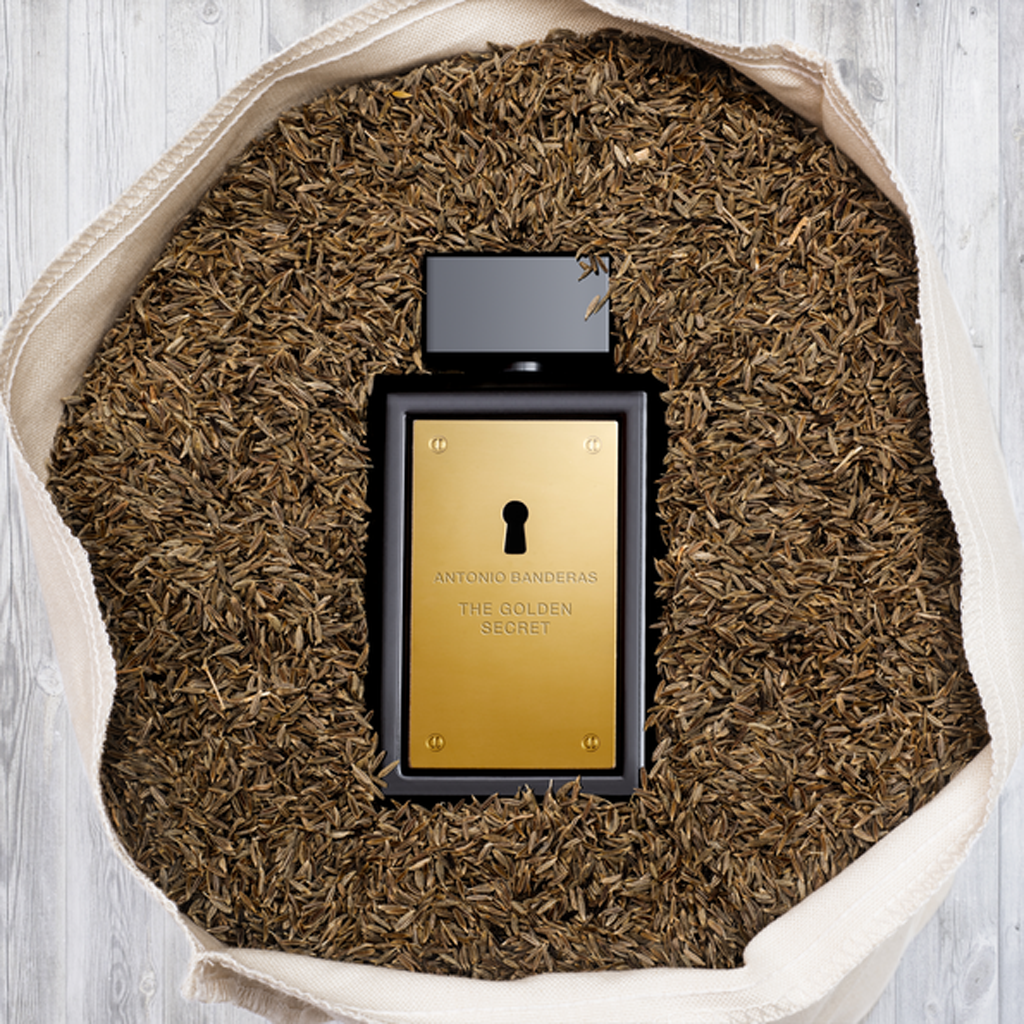 The Golden Secret - Perfumería First