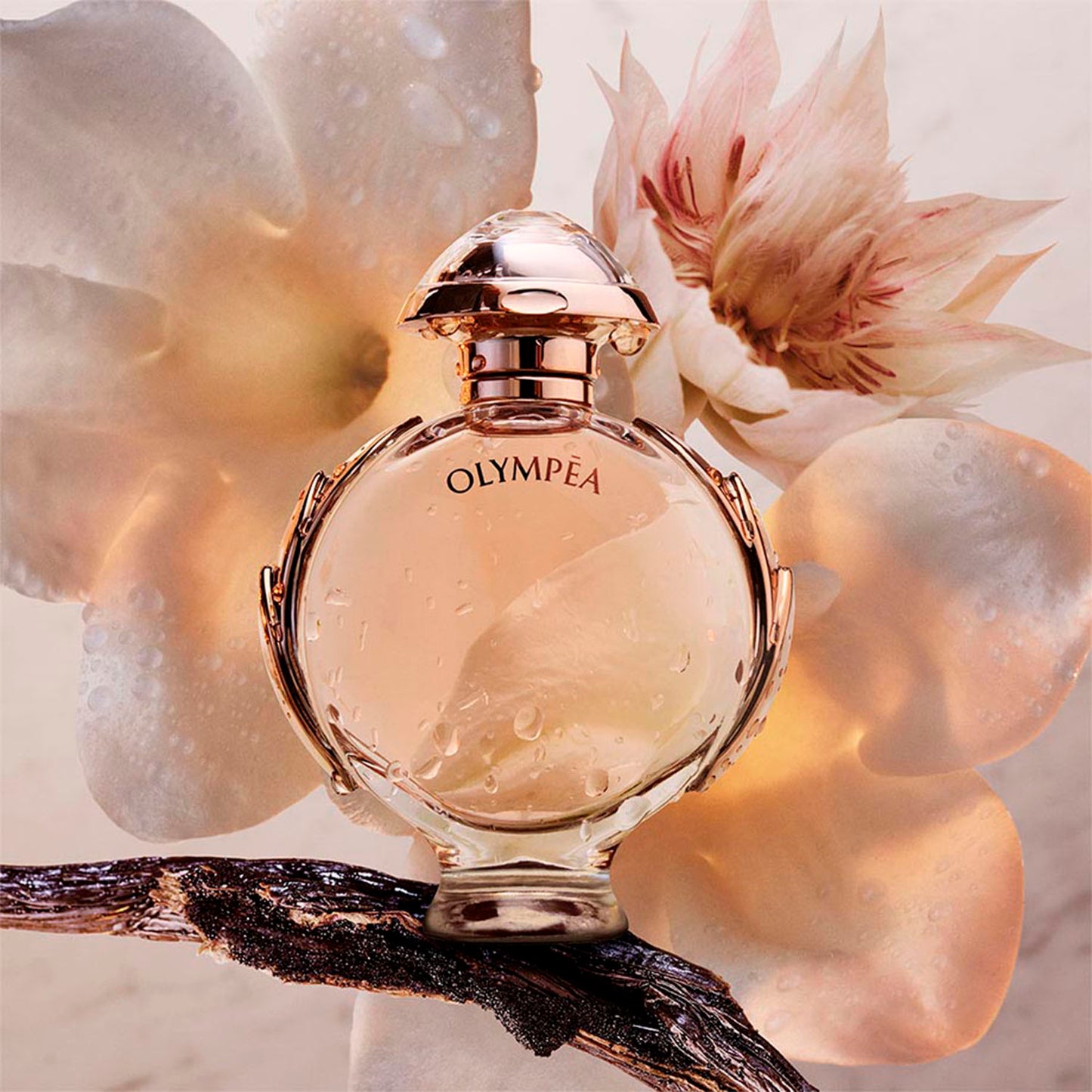 Olympea - Perfumería First Bolivia